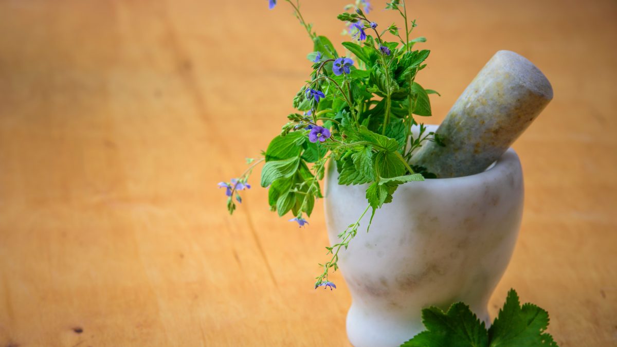 Che Cos è La Fitoterapia Storia Vantaggi Piante Da Usare