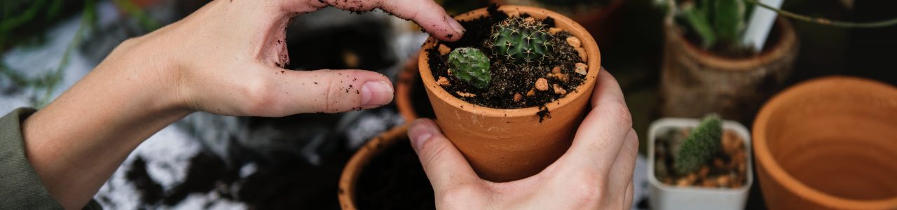 Ortoterapia: cos’è e perchè fa bene