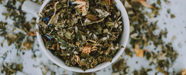 Tisane fai-da-te: come prepararle e perchè fanno bene